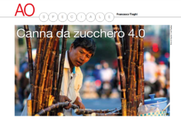 Canna da zucchero 4.0